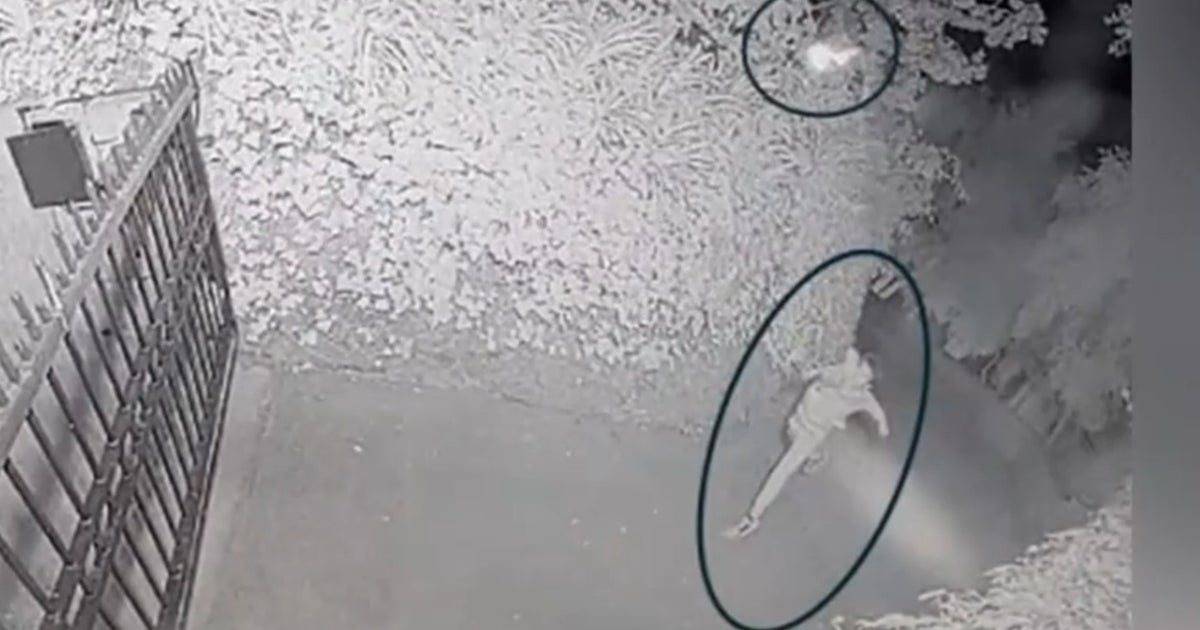 Defendant in Sam Altman Molotov Cocktail Incident Faces Court