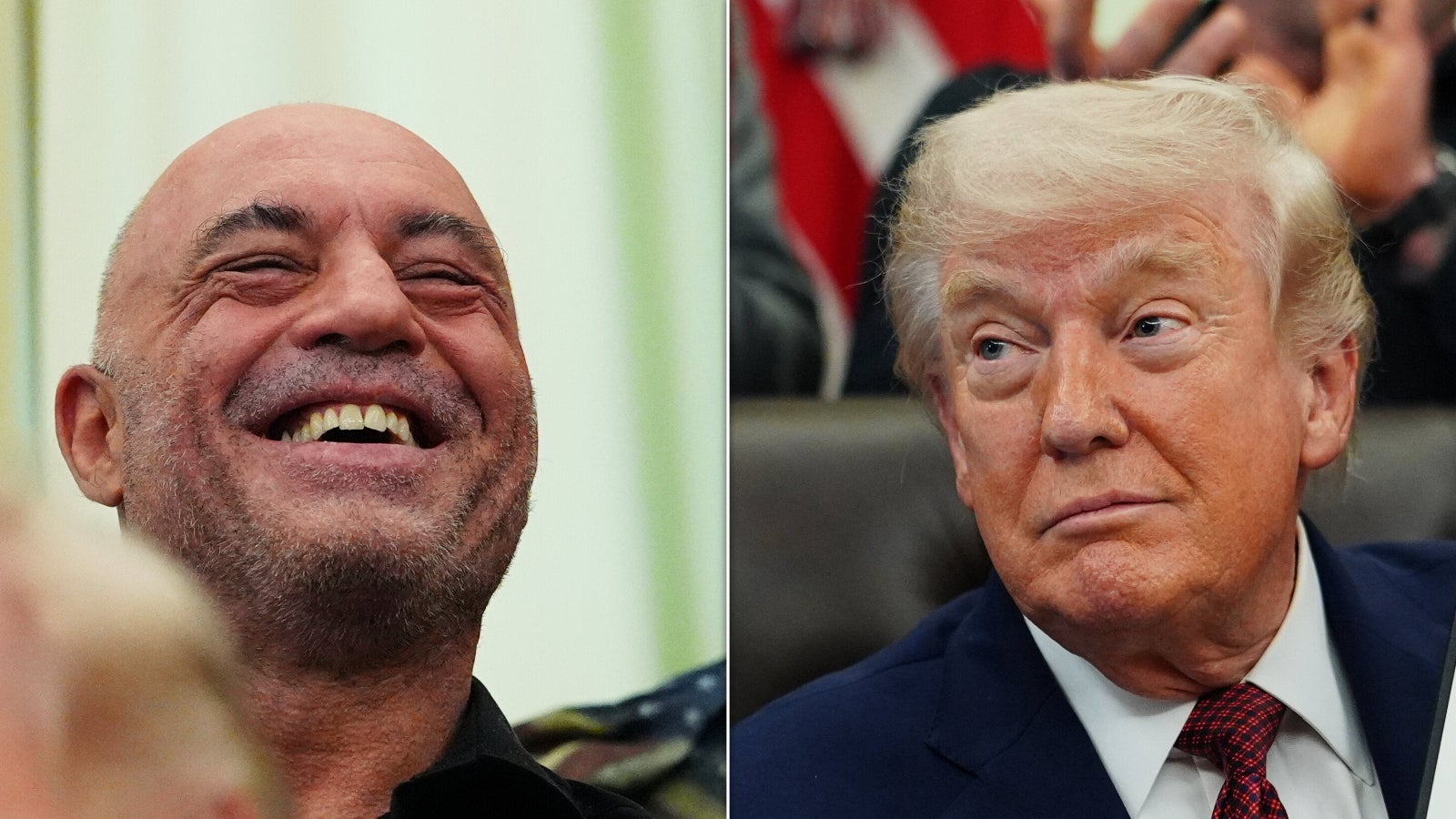 CNN Analyst Unveils Theory on Trump's Bond with Joe Rogan Amidst Criticism