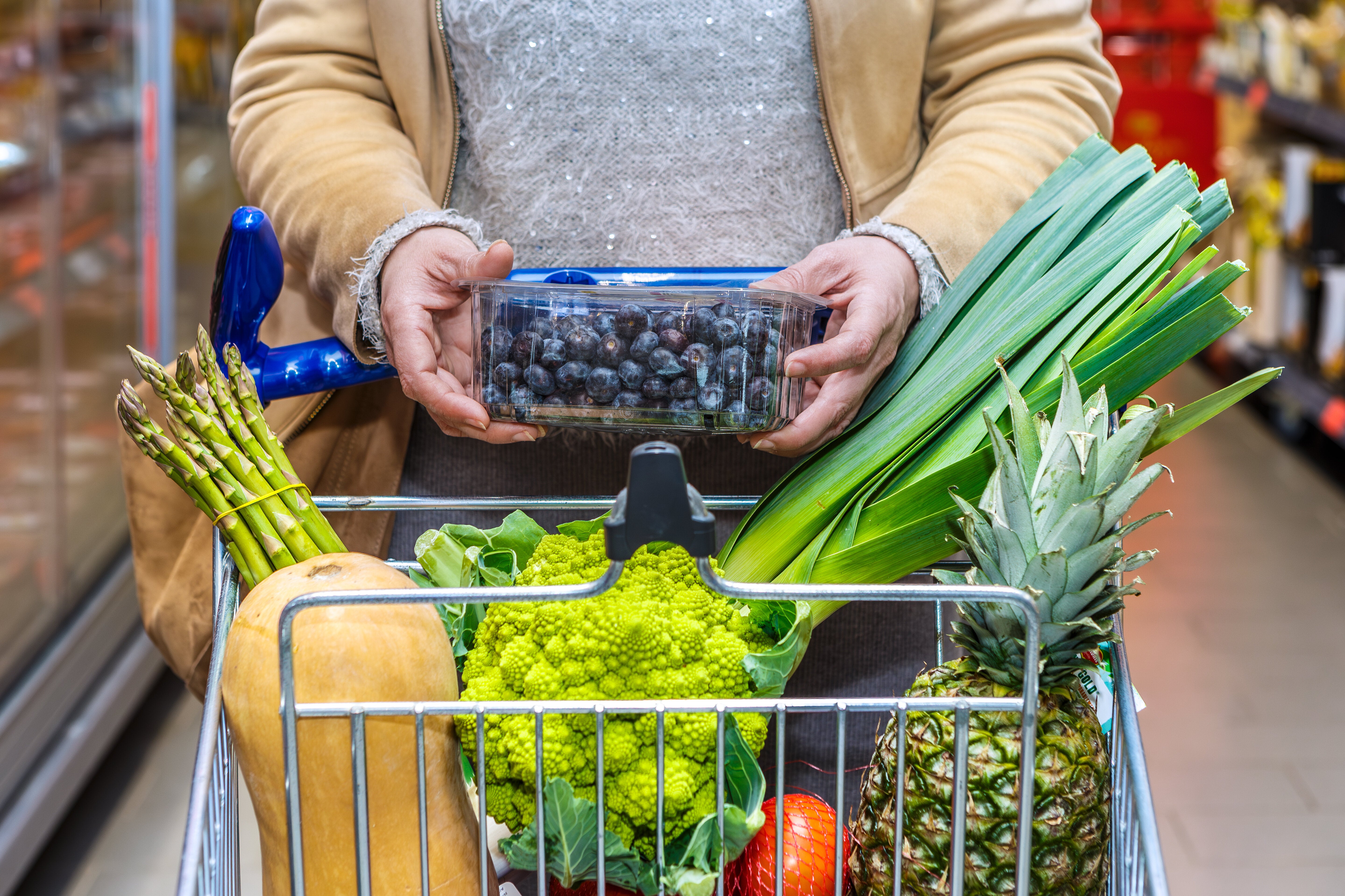 SNAP Regulations Shift — New Limitations Deliver a Stark Message to Americans