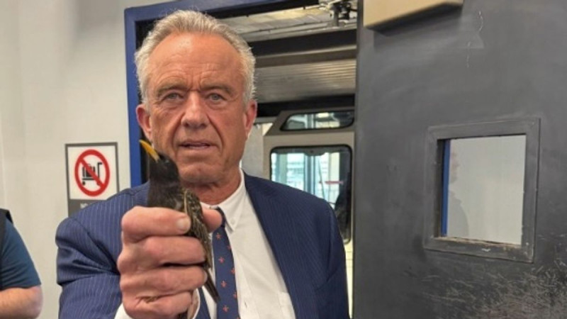 RFK Jr. Sparks Outrage After Airport Bird Rescue: Will He Feast on His Find?