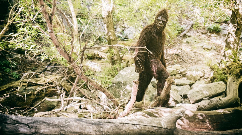 Military Man Claims Bigfoot Sports 'Unusually Long' Appendage After Close Encounter