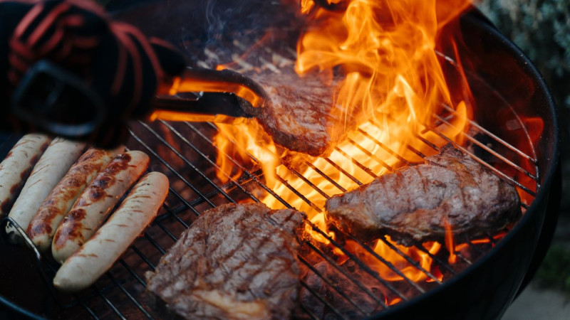 Cruise Crew Hosts BBQ Bash Amid Hantavirus Deaths: Passengers Left in Shock