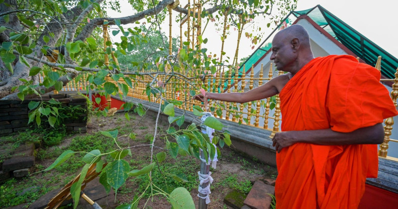 Senior Buddhist Monk Busted for Alleged Sexual Abuse of Minor in Sri Lanka