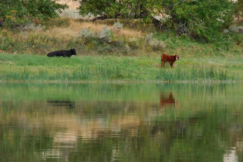 Trump's Administration Ditches Conservation Rule, Opens Floodgates for Resource Exploitation