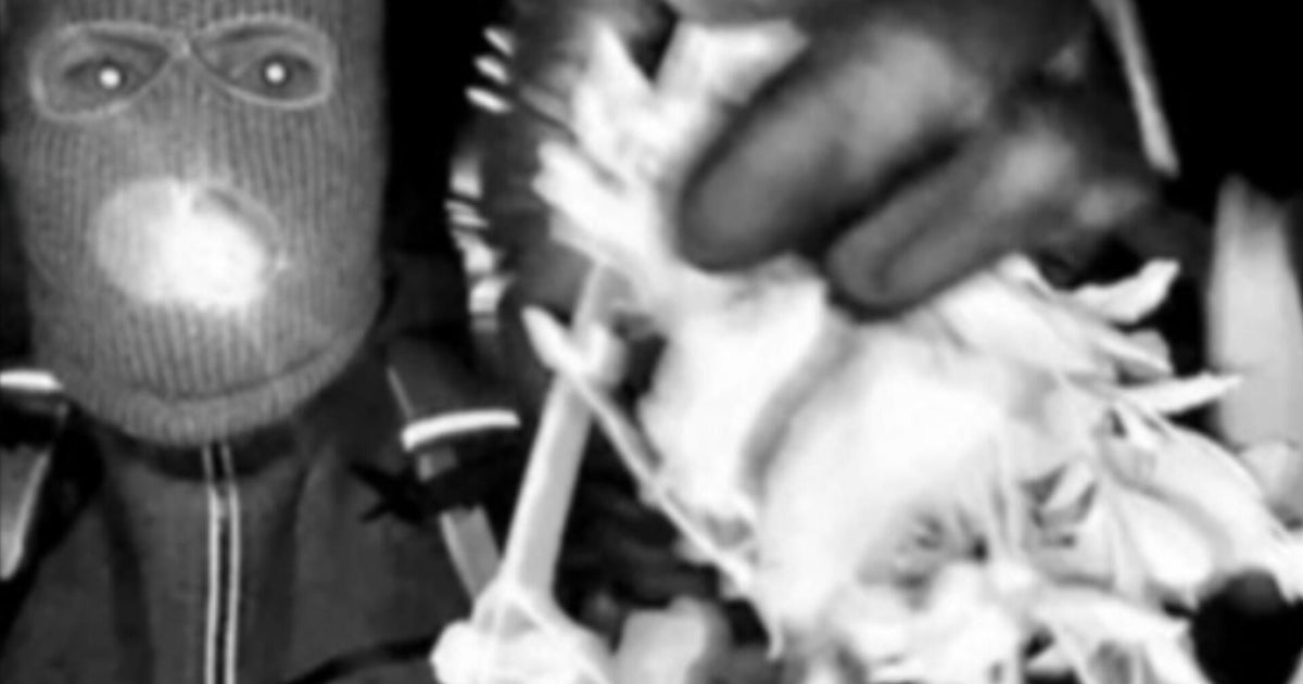 Fresh Images Reveal Hooded Figure at Nancy Guthrie's Entrance