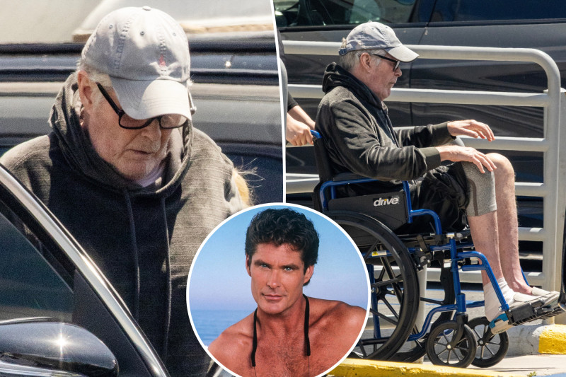 David Hasselhoff Spotted in Wheelchair, Health Concerns Intensify