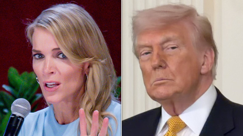 Megyn Kelly Unleashes Savage Claims: Trump’s Infidelity and Ivana’s Rape Accusation Resurface