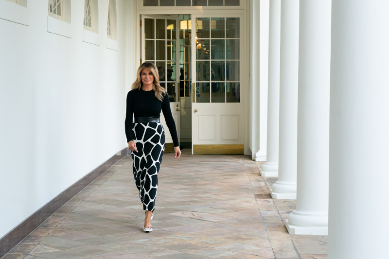 Former Model Claims Jeffrey Epstein, Not Zampolli, Introduced Melania to Trump