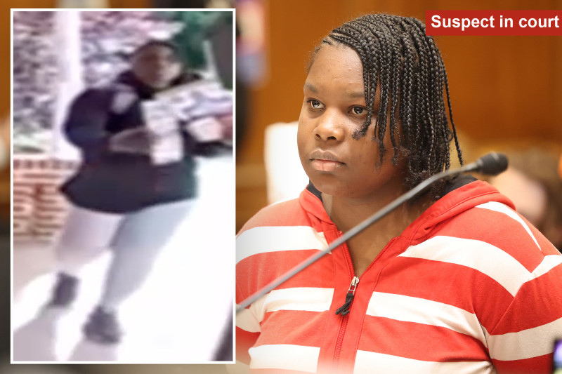 Madwoman Campaigning for Dem Beats 98-Year-Old with Broomstick and Chair in NYC