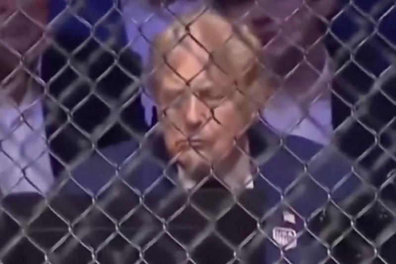 Donald Trump Caught Napping at His Own Birthday Bash Amid UFC Chaos