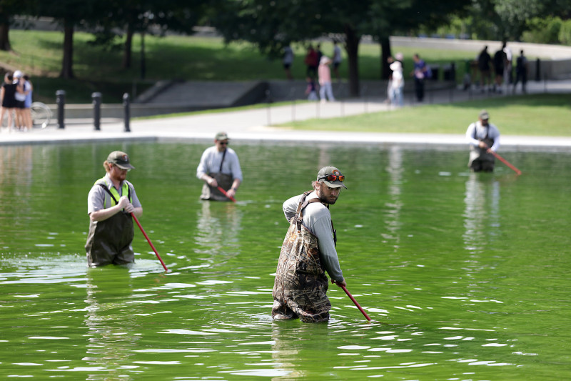 Trump's Algae-Filled Reflecting Pool: A Green Disaster of Epic Proportions