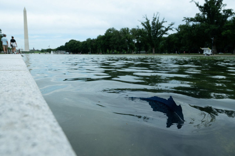 Trump’s Reflecting Pool Disaster: $14.7M Down the Drain as Paint Peels Off