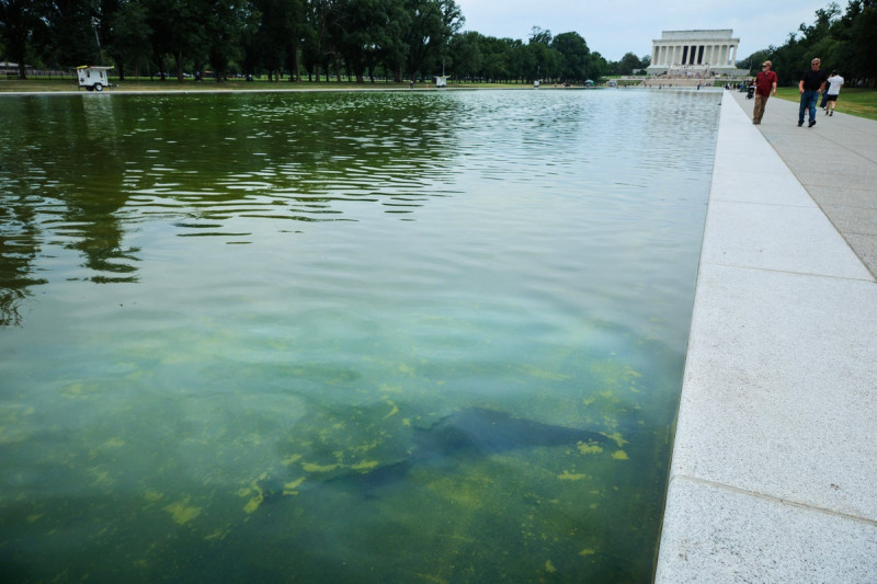 Trump Threatens ABC with Lawsuit Over Reflecting Pool Coverage: ‘I Like Their Money’