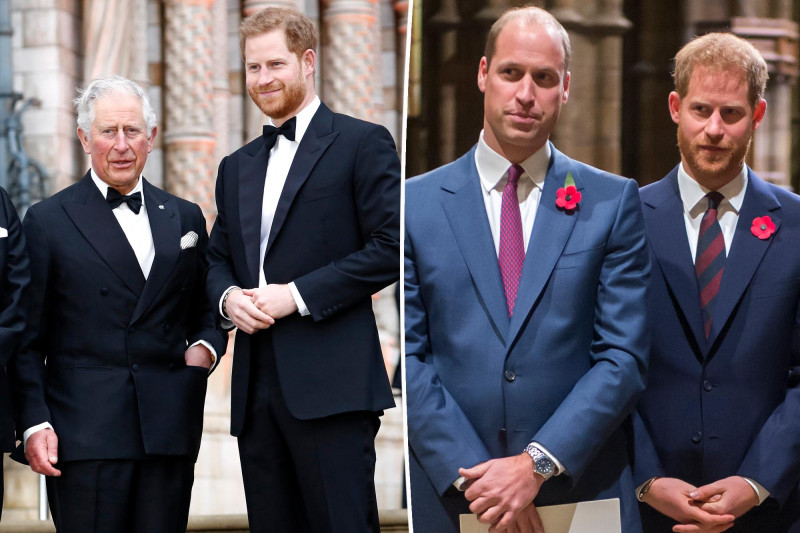 Prince Harry’s Reunion with King Charles: A Disaster for His Relationship with Prince William