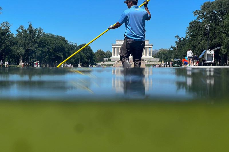 Trump Blames “Deranged” Vandals for Lincoln Memorial Pool Disaster Amidst Algae and Paint Crisis