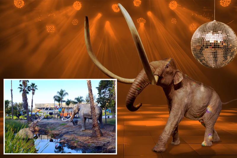 LA’s La Brea Tar Pits Museum to Host Disco Blowout Before Massive Renovation Shutdown
