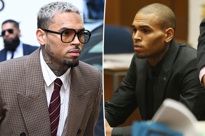 Chris Brown Slapped with $13 Million Judgment After 200-Pound Dog Mauls Housekeeper