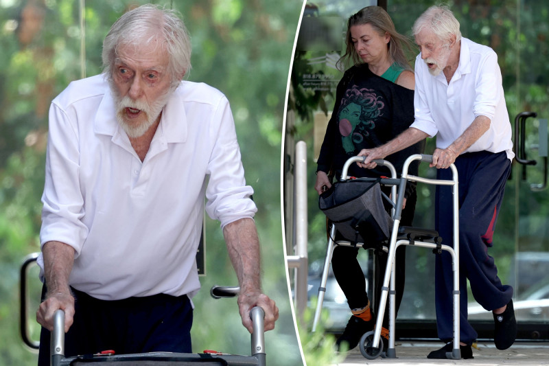 Dick Van Dyke, 100, Struggles with Walker During Outing with 54-Year-Old Wife
