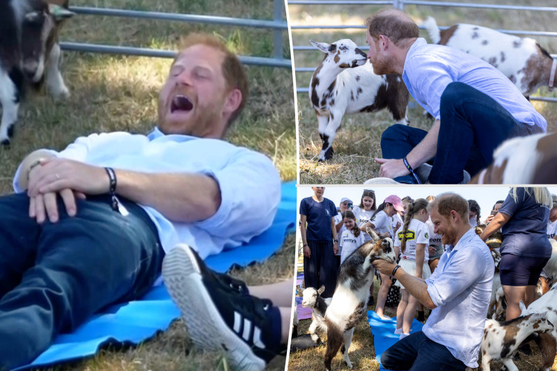 Prince Harry's Crown Jewels Crushed by Clumsy Goat During Yoga Fiasco