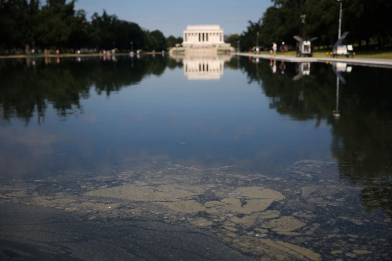 Trump's Wild Claims of a '900-Foot Gash' in Reflecting Pool Exposed as Fabrication