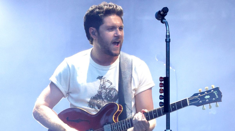 Niall Horan Accused of 'Hating' Argentina After Controversial Instagram Like