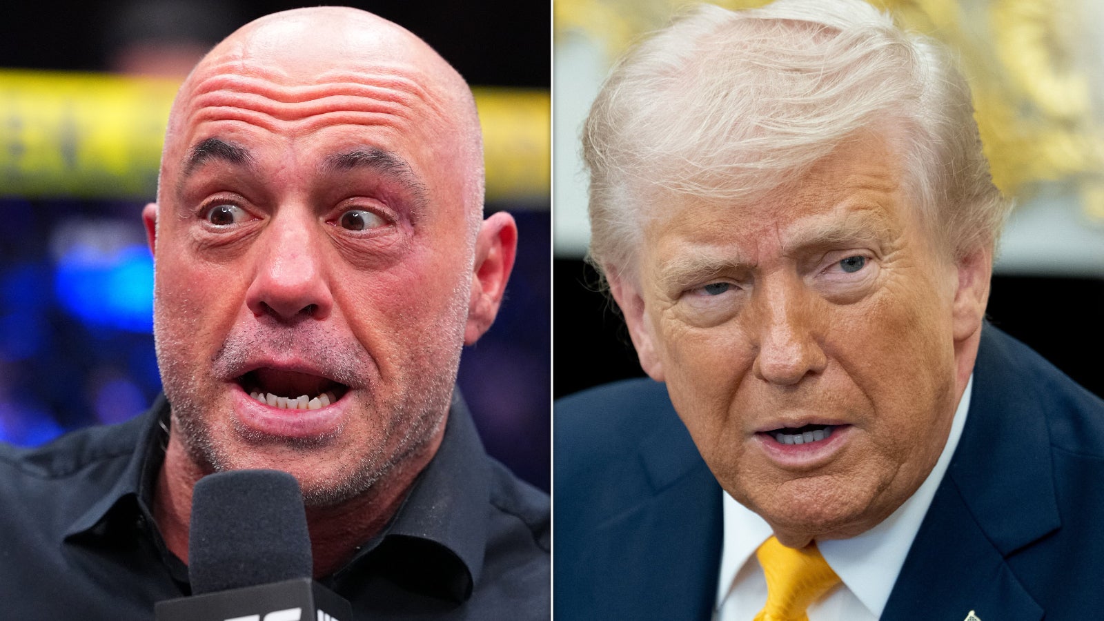 Joe Rogan Unleashes Ruthless Trump Impression While Critiquing 'Bizarre' Canadian Aspirations
